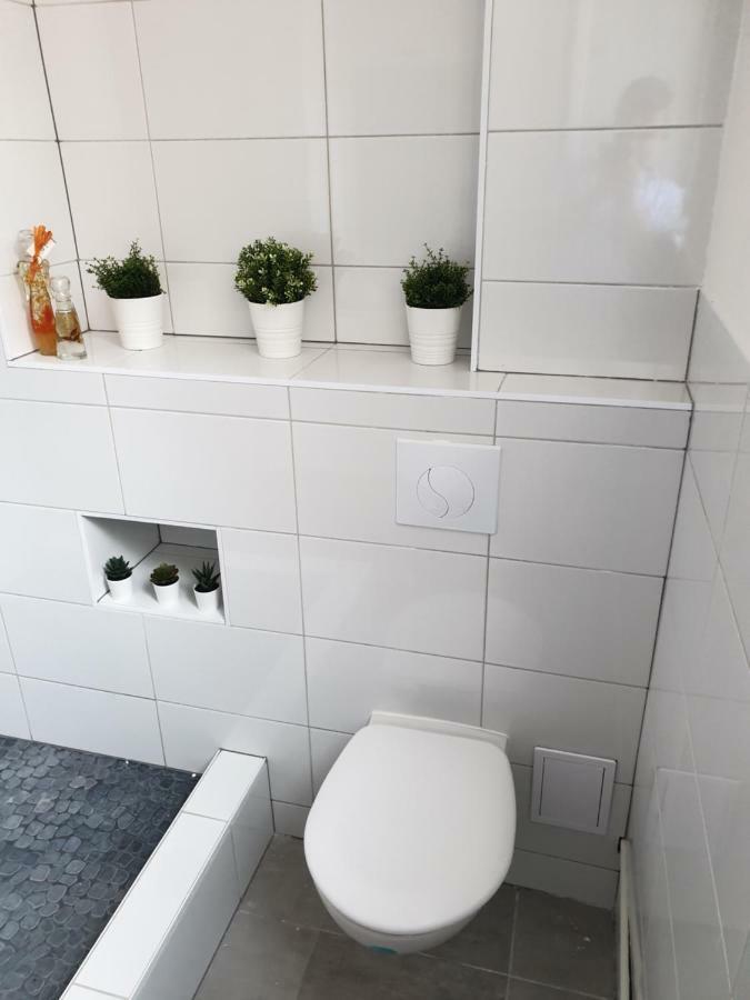 Strasbourg Centre Le 85, Superbe F5, 125M2, 5 Pieces Apartment Exterior foto
