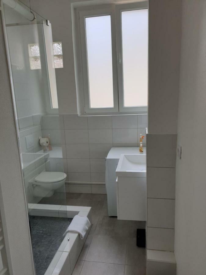 Strasbourg Centre Le 85, Superbe F5, 125M2, 5 Pieces Apartment Exterior foto
