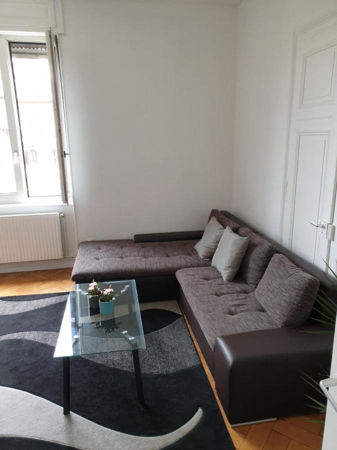 Strasbourg Centre Le 85, Superbe F5, 125M2, 5 Pieces Apartment Exterior foto